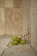 <p><meta charset="utf-8">Naturaleza patentada que nutre, protege y despierta tu piel</p>