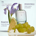 CAUDALIE EAU DES VIGNES COLONIA 50 ML