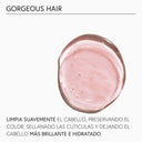 MONCHO MORENO GORGEOUS HAIR CHAMPU 250ML