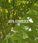 AKTUVA AK 100 PREVENT STICK SPF 50+ 15 G