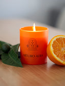 Arturo Alba Vela Apolo 190g