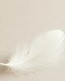 <p><span>Experiencia sensorial completa para revitalizar y rejuvenecer tu piel, de la cabeza a los pies.</span></p>